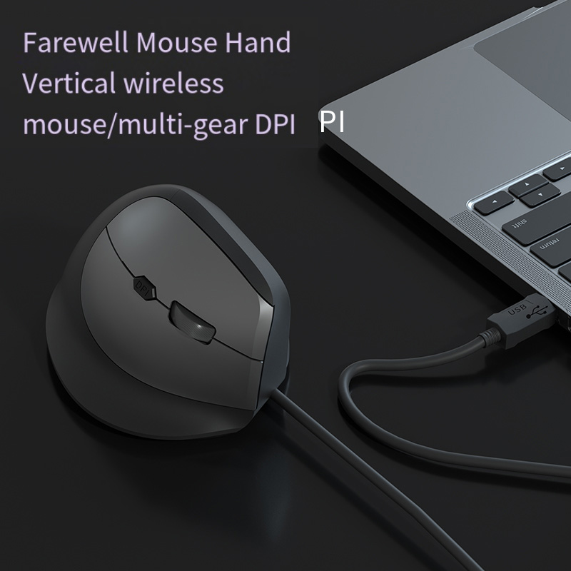 Bedrade Rechter Hand Verticale - Ergonomic Mouse Vertical recensie en prijs